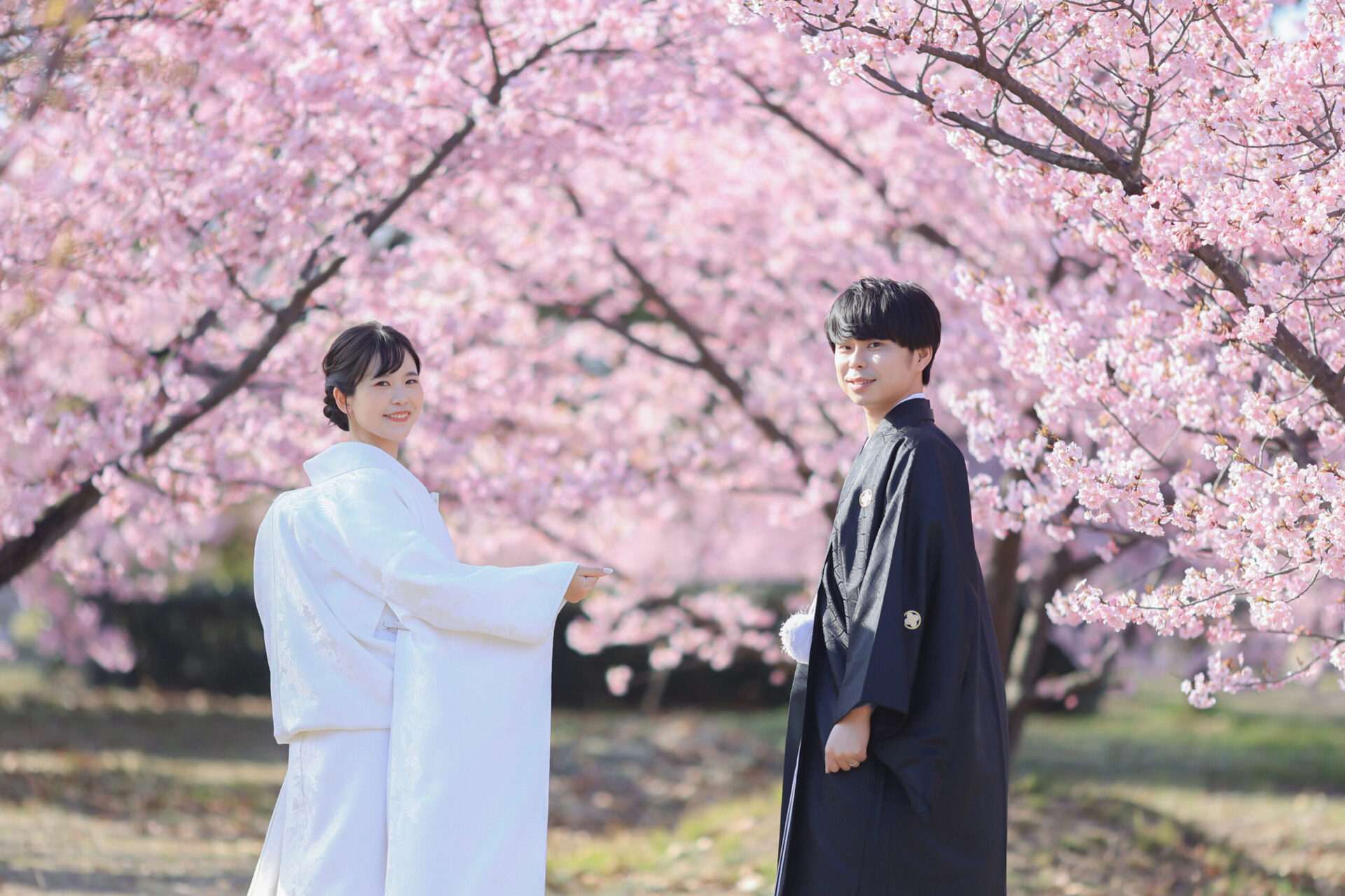 河津桜ロケーションご予約承り中です＊