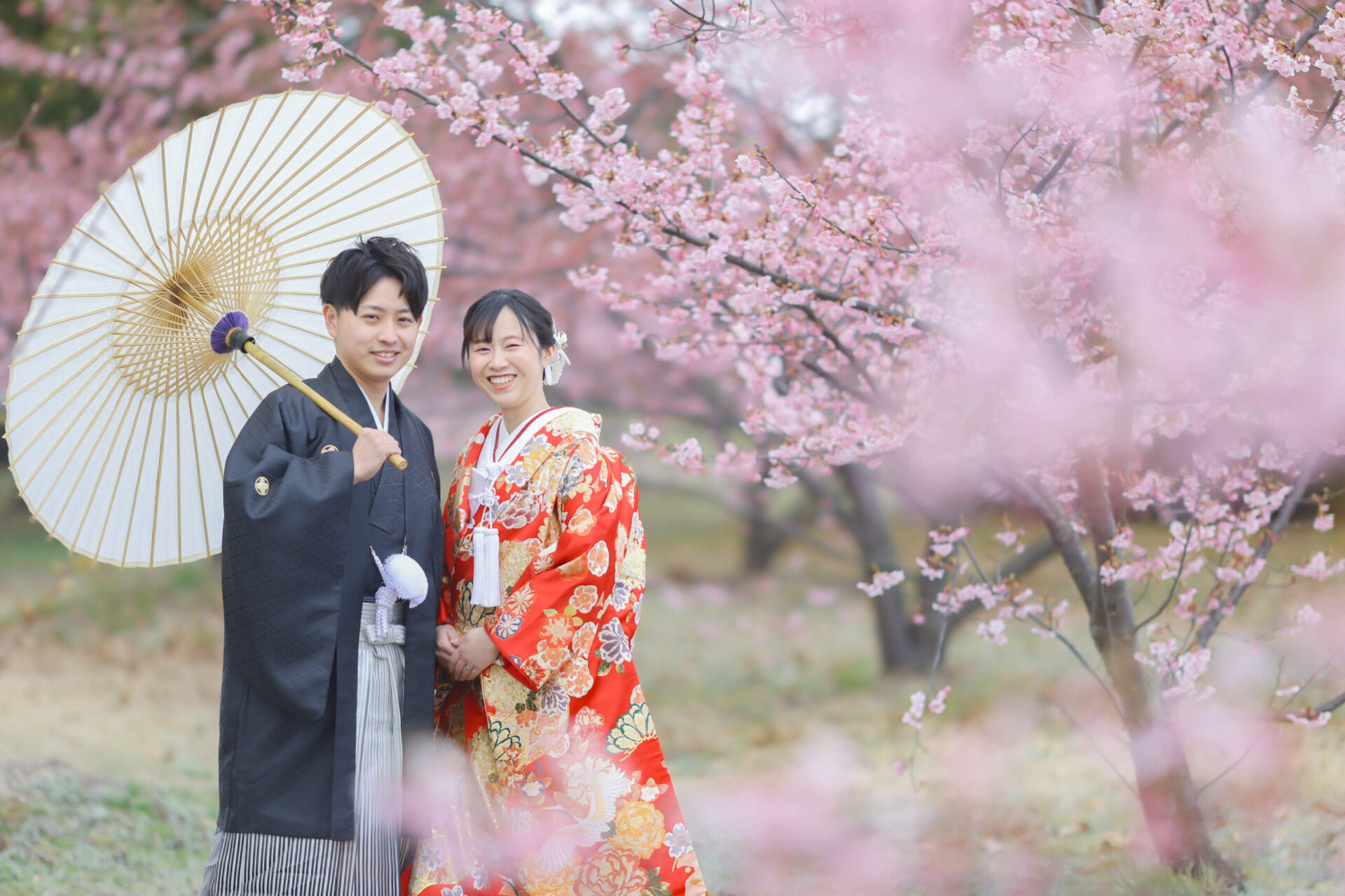 2025年春＊桜ロケーション撮影、ご予約承っております