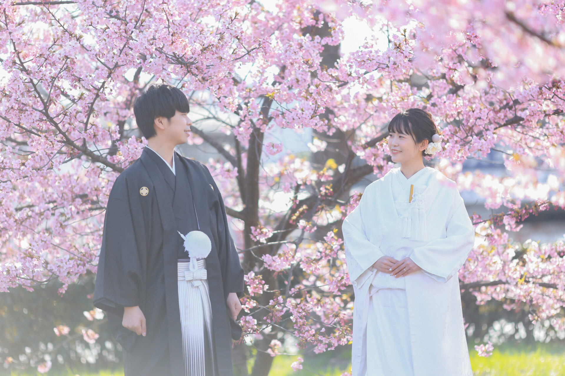 2025年春＊桜ロケーション撮影、ご予約承っております