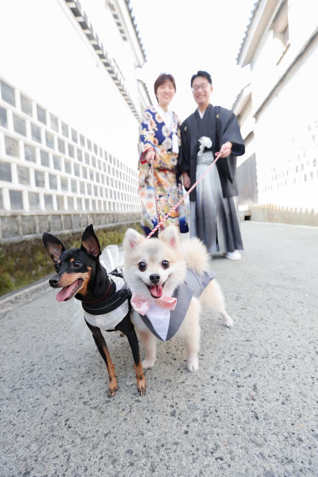 わんちゃん・ねこちゃんと一緒に♡