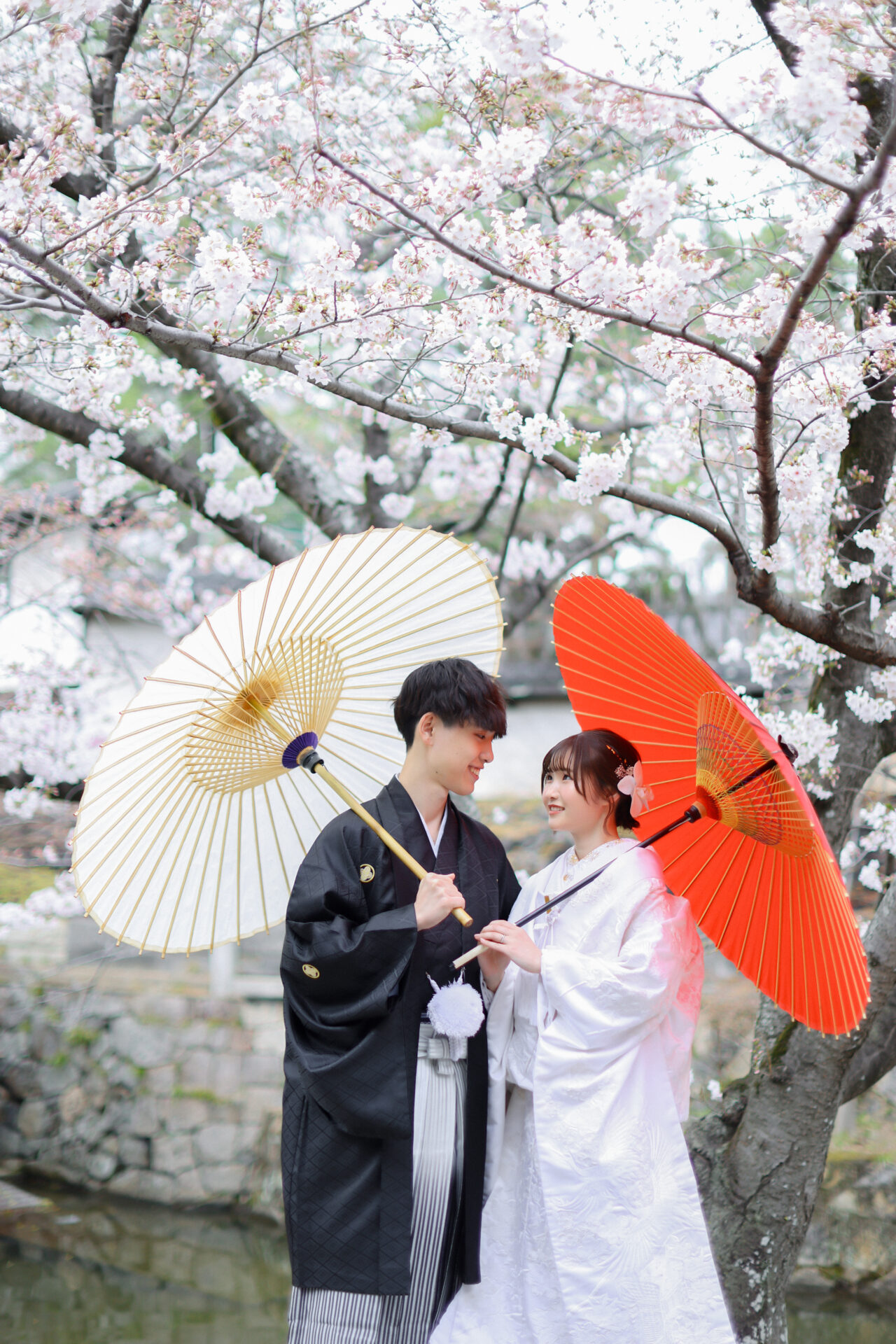 まだ間に合います☆桜ロケーション撮影はいかがでしょうか？♩