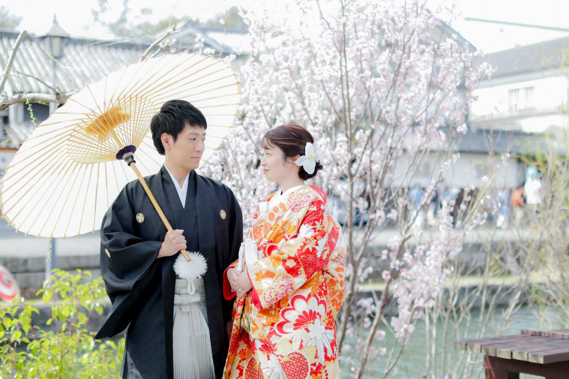 撮れたてお写真のご紹介♩”