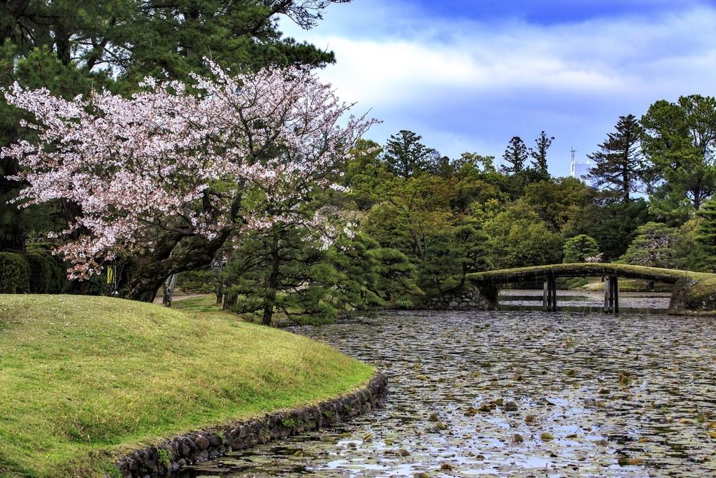 聚楽園（津山）