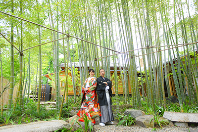 美観地区 竹林撮影