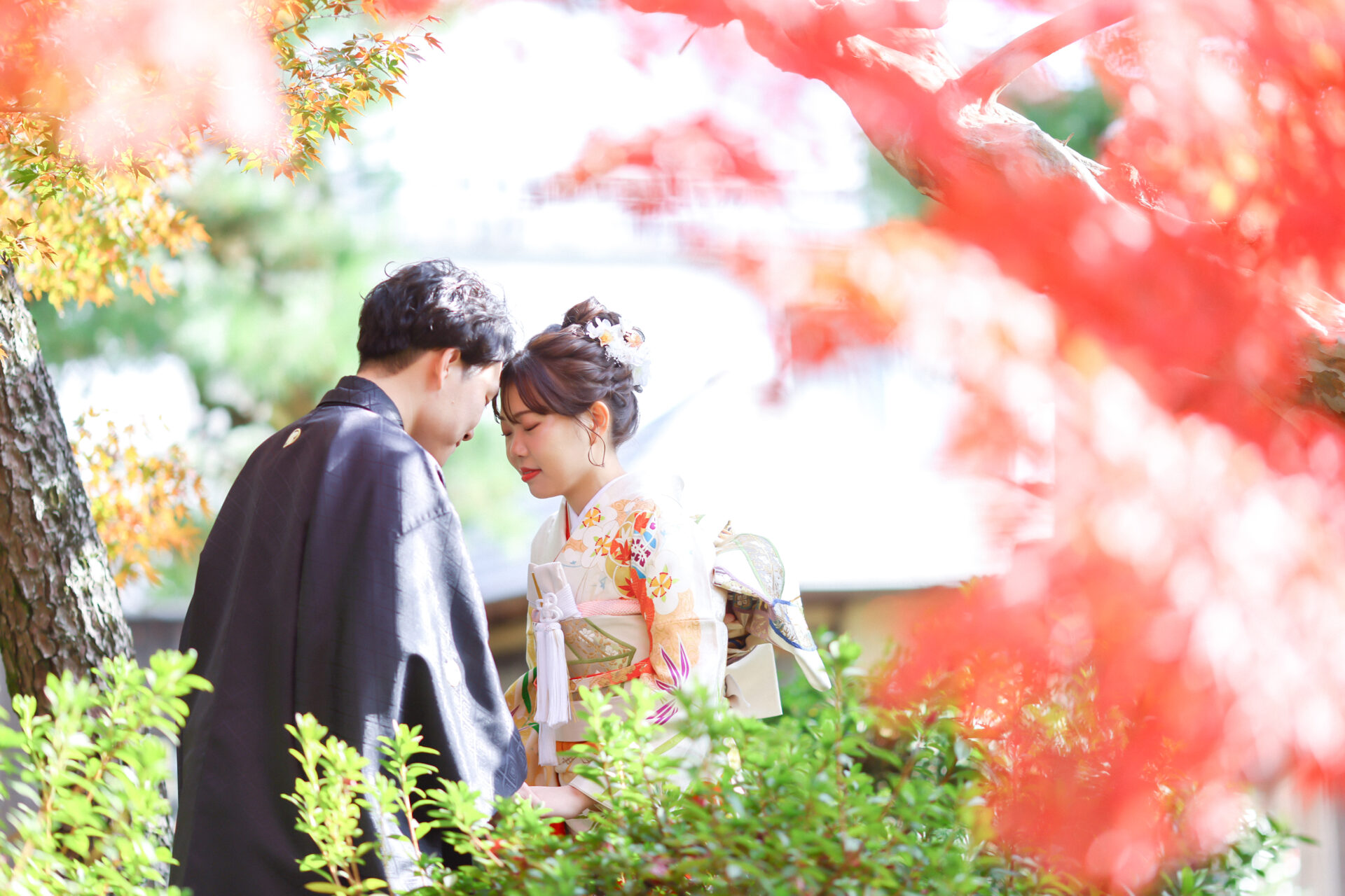 紅葉撮影まだ間に合います＊*