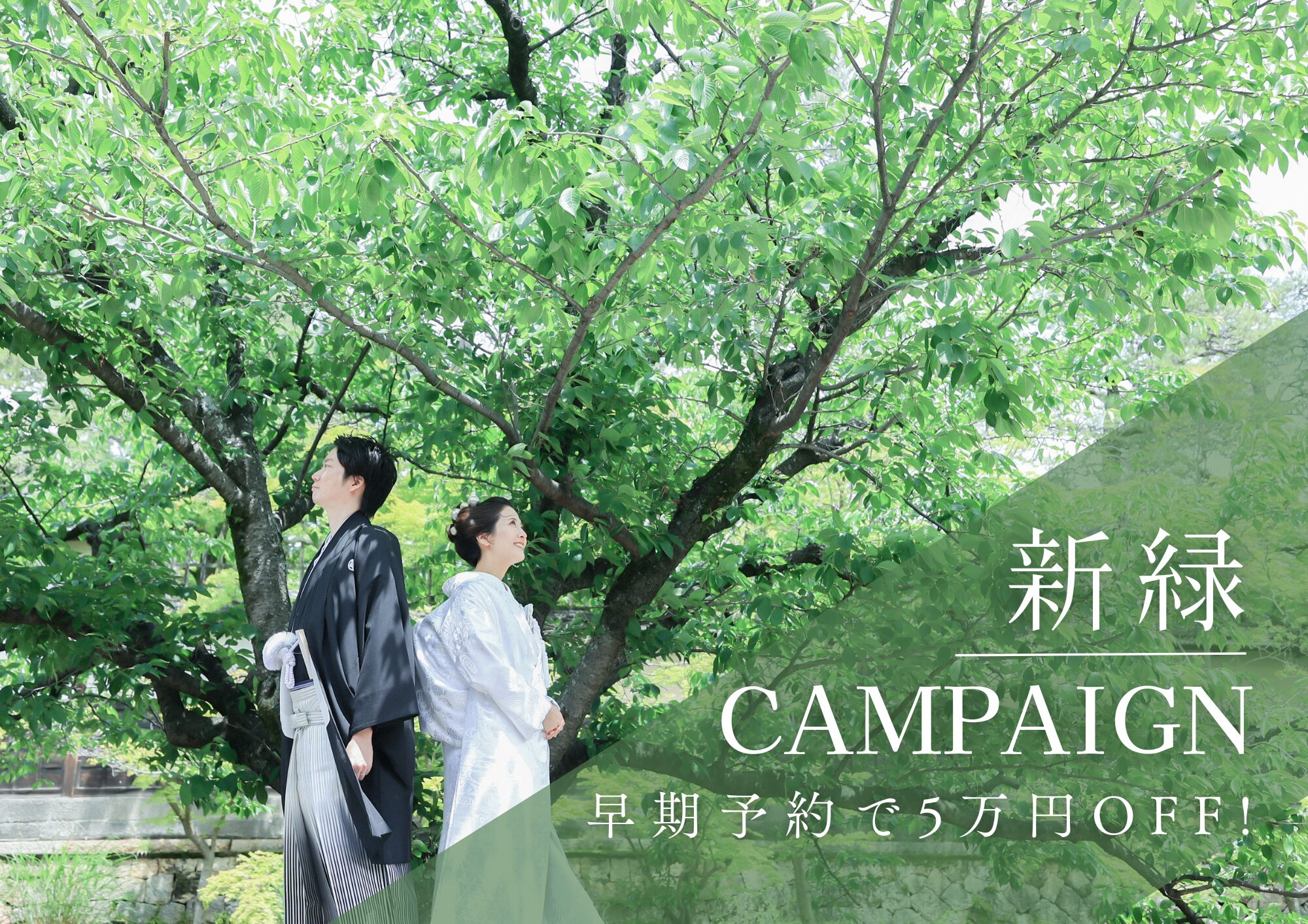 新緑CAMPAIGN