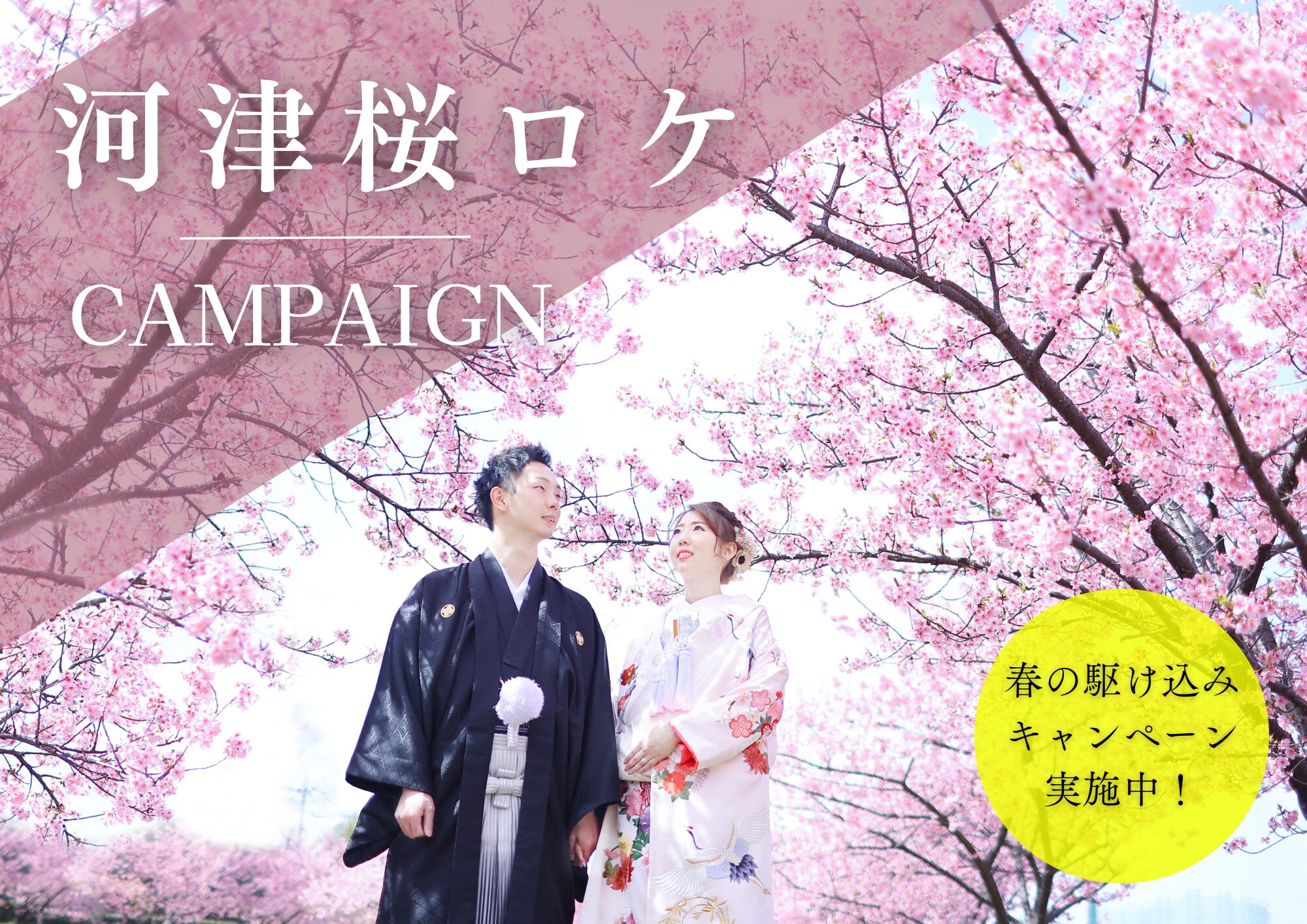 河津桜ロケ前撮り、まだ間に合います🌸